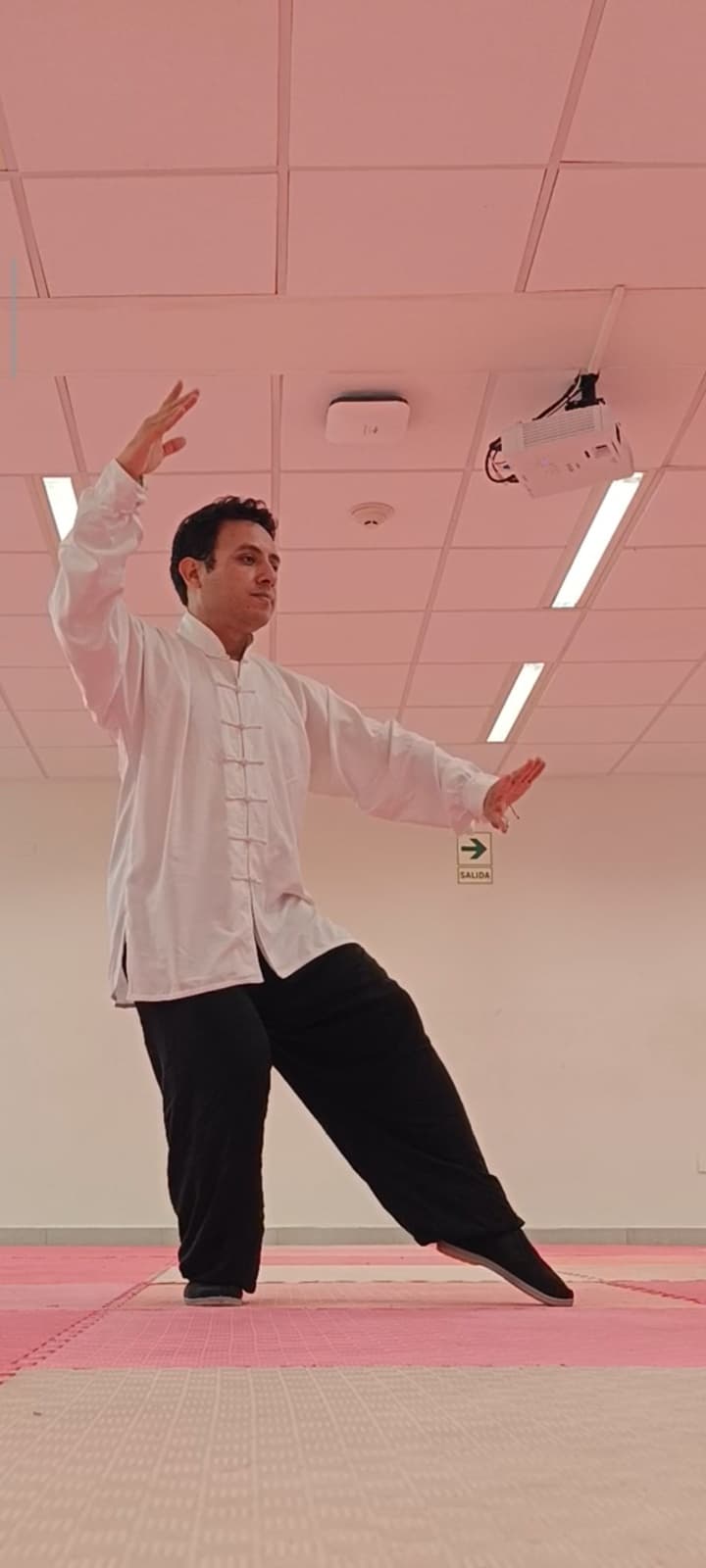 Tai Chi Chuan
